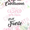 Cartel boda